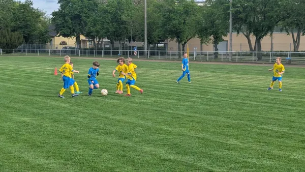 04.05.2026 NSG Gräfenhainichen II vs. NSG Gräfenhainichen