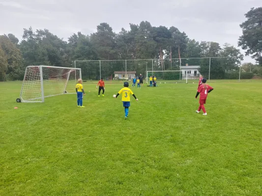 04.10.2025 FSV Bad Schmiedeberg vs. NSG Gräfenhainichen II