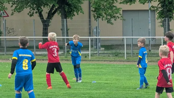 09.05.2026 NSG Gräfenhainichen vs. SV Blau-Rot Pratau