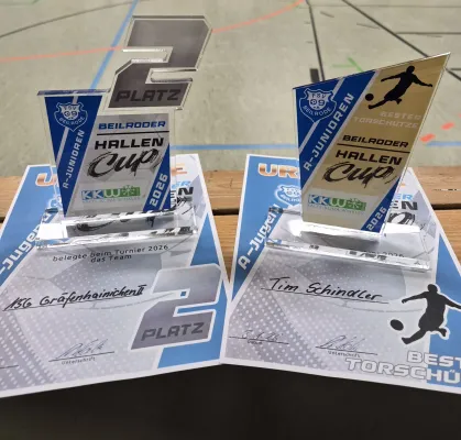 03.01.2026 FSV Beilrode 09 vs. NSG Gräfenhainichen