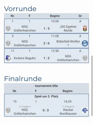 01.02.2026 1.FC Bitterfeld-Wolfen vs. NSG Gräfenhainichen