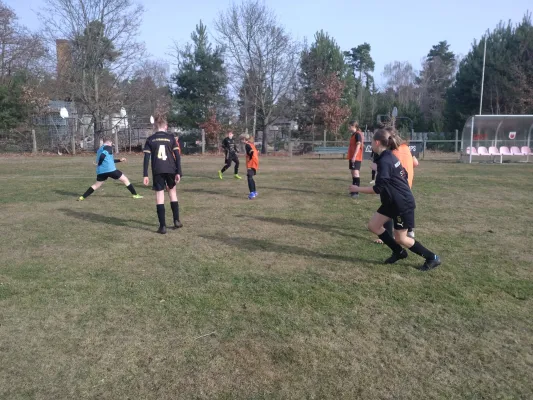 08.03.2026 FSV Bad Schmiedeberg vs. NSG Gräfenhainichen II