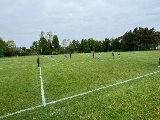 09.05.2026 NSG Gräfenhainichen II vs. Annaburg