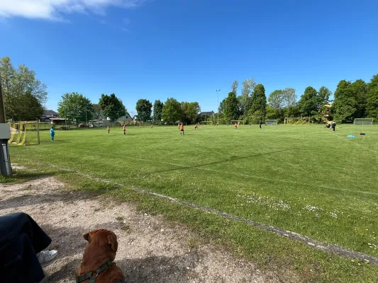 17.05.2026 NSG Gräfenhainichen II vs. Allemannia Jessen