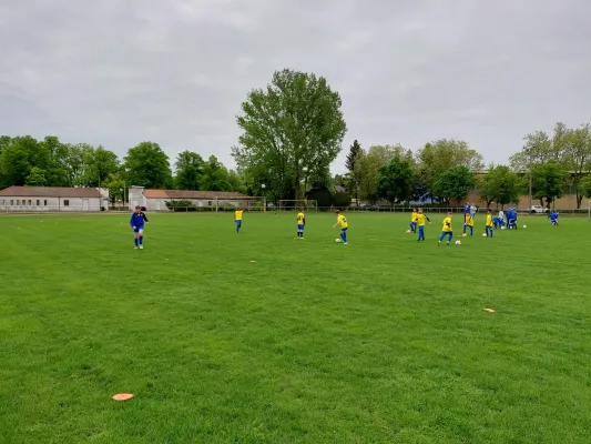 09.05.2026 NSG Gräfenhainichen II vs. Blau-Weiß Nudersdorf