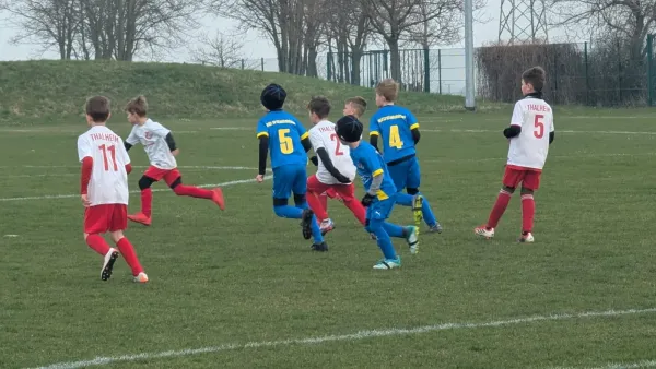 21.03.2026 SG Rot Weiß Thalheim (E) vs. NSG Gräfenhainichen