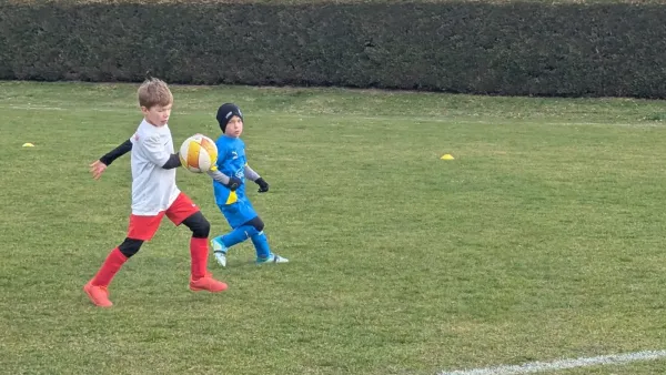 21.03.2026 SG Rot Weiß Thalheim (E) vs. NSG Gräfenhainichen