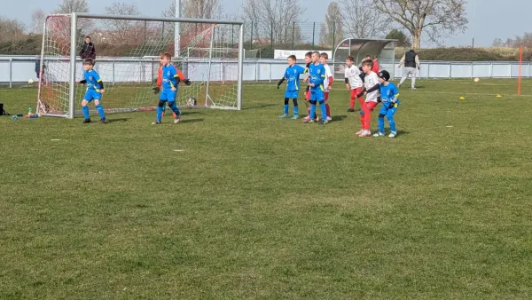 21.03.2026 SG Rot Weiß Thalheim (E) vs. NSG Gräfenhainichen