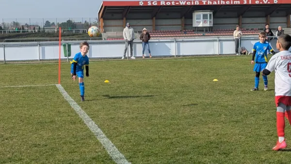 21.03.2026 SG Rot Weiß Thalheim (E) vs. NSG Gräfenhainichen