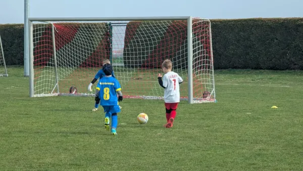 21.03.2026 SG Rot Weiß Thalheim (E) vs. NSG Gräfenhainichen