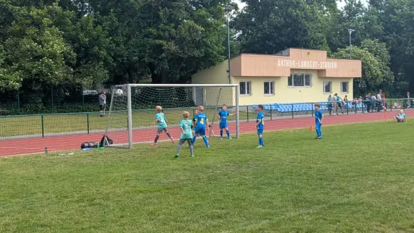 07.06.2026 Victoria Wittenberg IV vs. NSG Gräfenhainichen