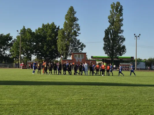 29.07.2026 VfB Gräfenhainichen vs. SV Blau-Weiß Dölau