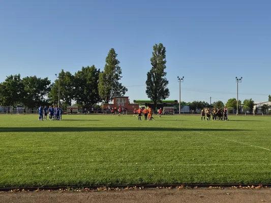 29.07.2026 VfB Gräfenhainichen vs. SV Blau-Weiß Dölau