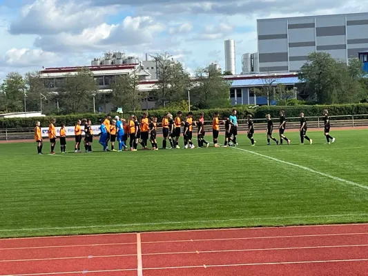 29.08.2026 Allemannia Jessen vs. VfB Gräfenhainichen II
