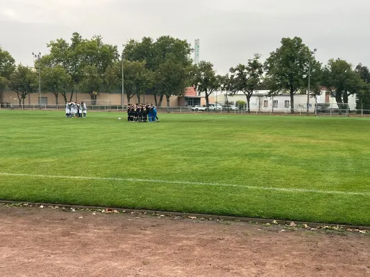 03.10.2026 VfB Gräfenhainichen II vs. NSG Lutherkicker II