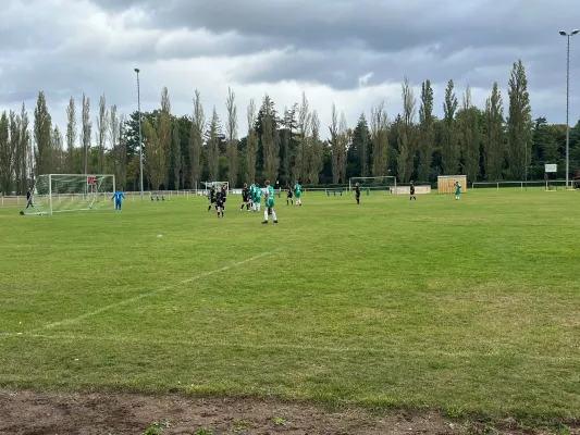11.10.2026 SV Grün-Weiß-Wörlitz vs. VfB Gräfenhainichen II