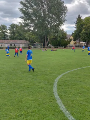 30.08.2026 NSG Gräfenhainichen II vs. SV Blau Rot Coswig