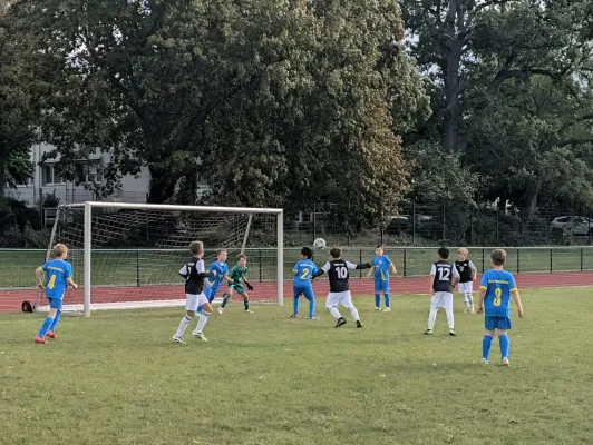 05.09.2026 Victoria Wittenberg vs. NSG Gräfenhainichen