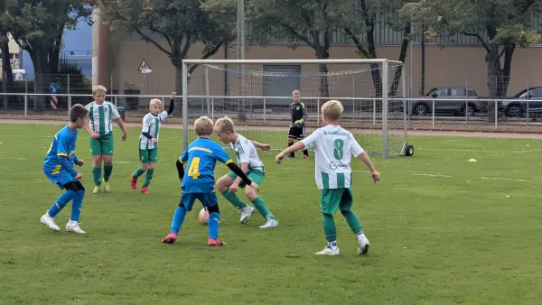 19.09.2026 NSG Gräfenhainichen vs. SV Grün-Weiß-Wörlitz
