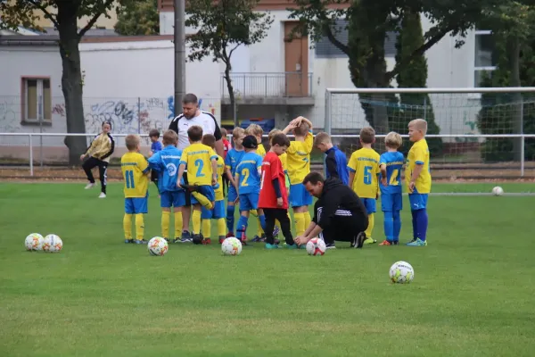 02.10.2026 NSG Gräfenhainichen vs. SV Grün-Weiß-Wörlitz II