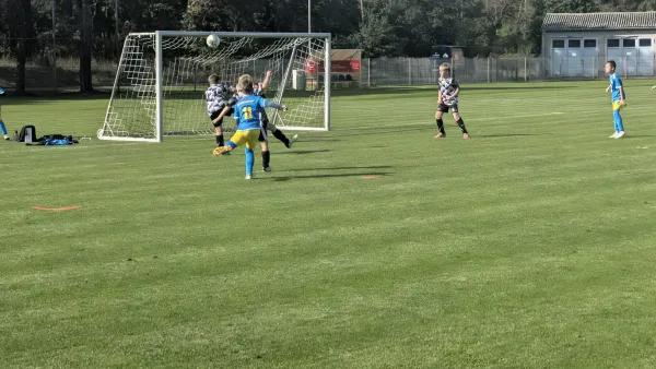 27.09.2026 Allemannia Jessen II vs. NSG Gräfenhainichen