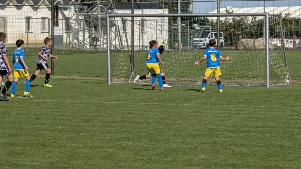 27.09.2026 Allemannia Jessen II vs. NSG Gräfenhainichen