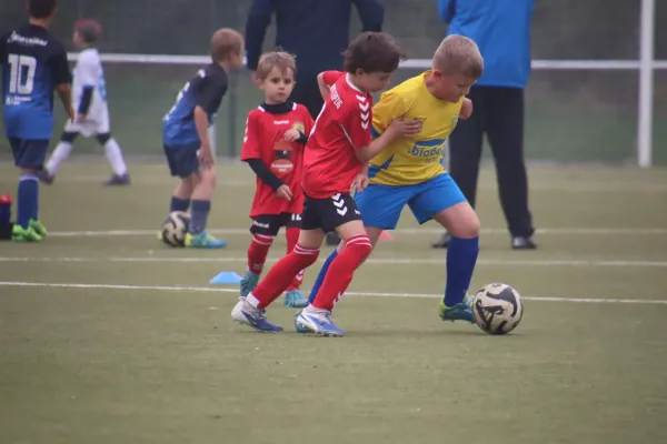 04.10.2026 1.FC Bitterfeld-Wolfen vs. NSG Gräfenhainichen