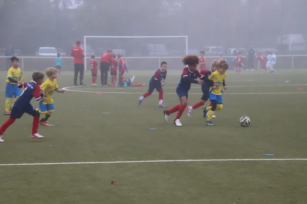 04.10.2026 1.FC Bitterfeld-Wolfen vs. NSG Gräfenhainichen