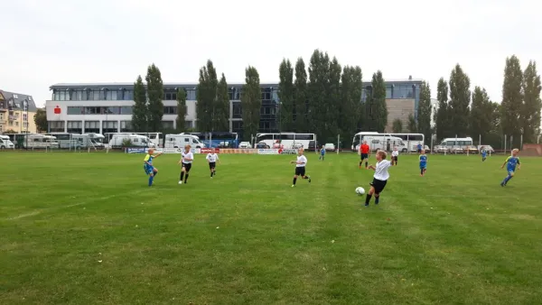 26.08.2017 Wittenberg/Reinsdorf vs. VfB Gräfenhainichen