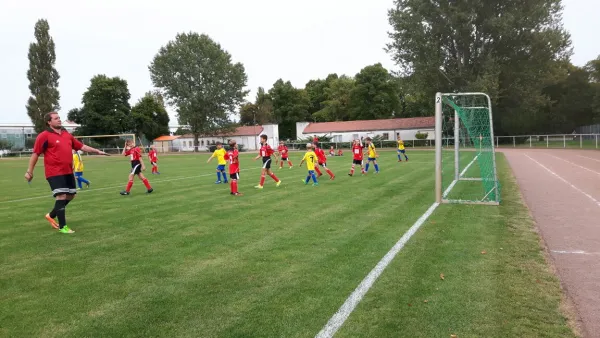 01.09.2017 VfB Gräfenhainichen vs. SG Heiderand