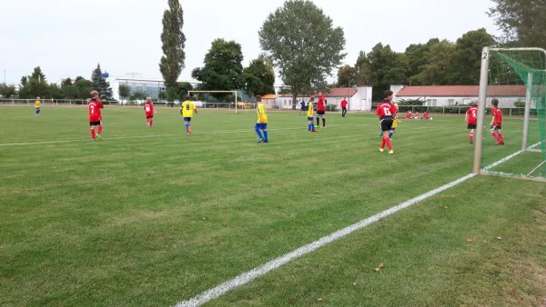 01.09.2017 VfB Gräfenhainichen vs. SG Heiderand