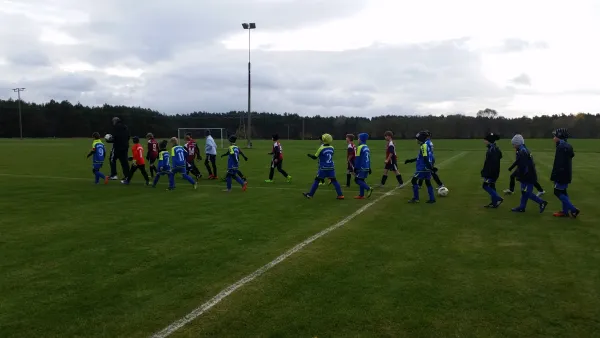 11.11.2017 TSV Blau Weiß vs. VfB Gräfenhainichen
