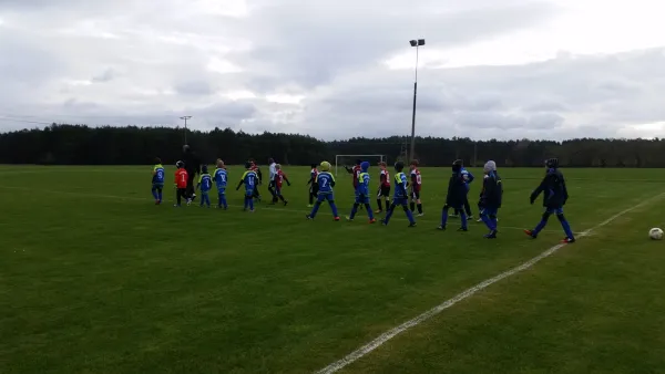 11.11.2017 TSV Blau Weiß vs. VfB Gräfenhainichen