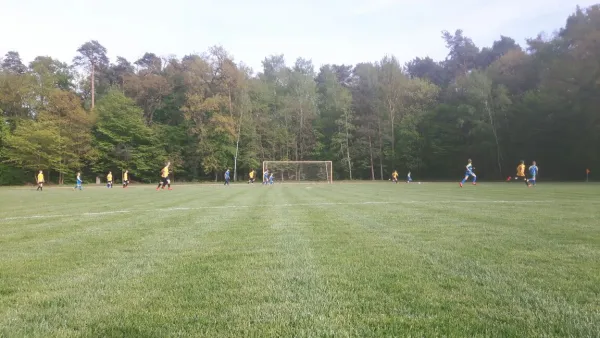 27.04.2018 JSG Heidekicker vs. VfB Gräfenhainichen